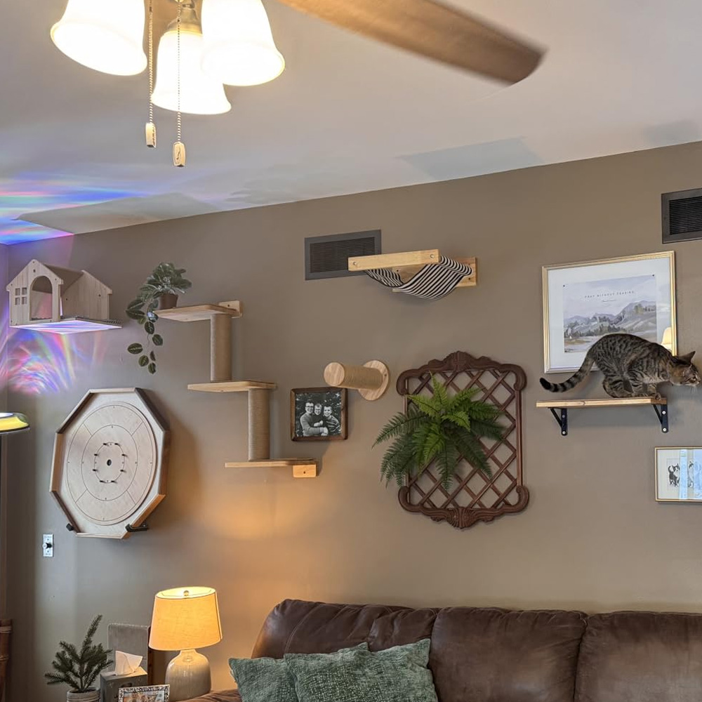 Cat Furniture Solid Wooden Sus - Furniture Paradise & Hardware Ghaziabad Reviews 评论和价格