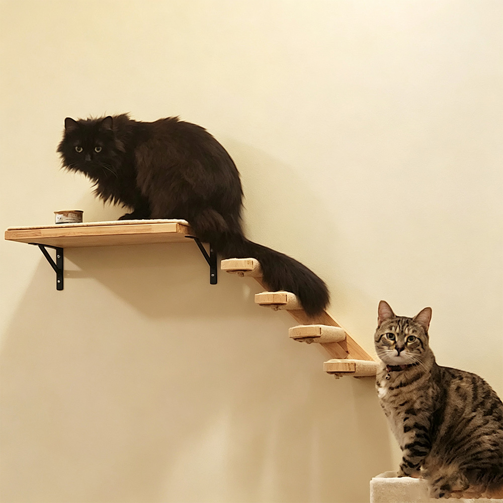 Cat Furniture Solid Wooden Sus - Furniture Paradise & Hardware Ghaziabad Reviews 评论和价格